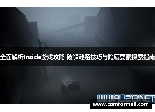 全面解析Inside游戏攻略 破解谜题技巧与隐藏要素探索指南